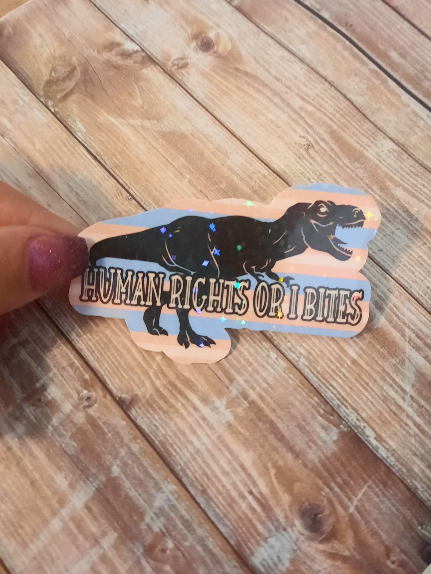 Human rights or I bites sticker for water bottle, T-rex sticker for laptop, dinosaur sticker