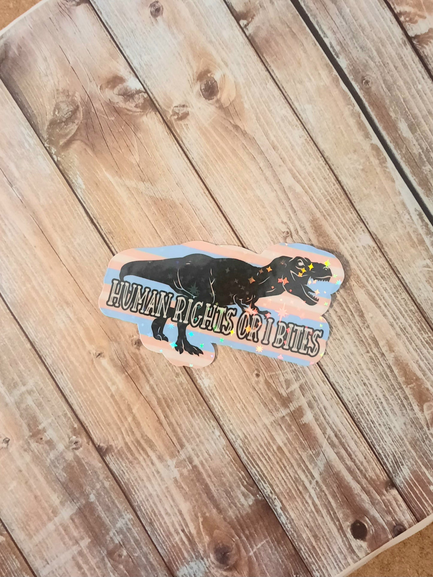 Human rights or I bites sticker for water bottle, T-rex sticker for laptop, dinosaur sticker