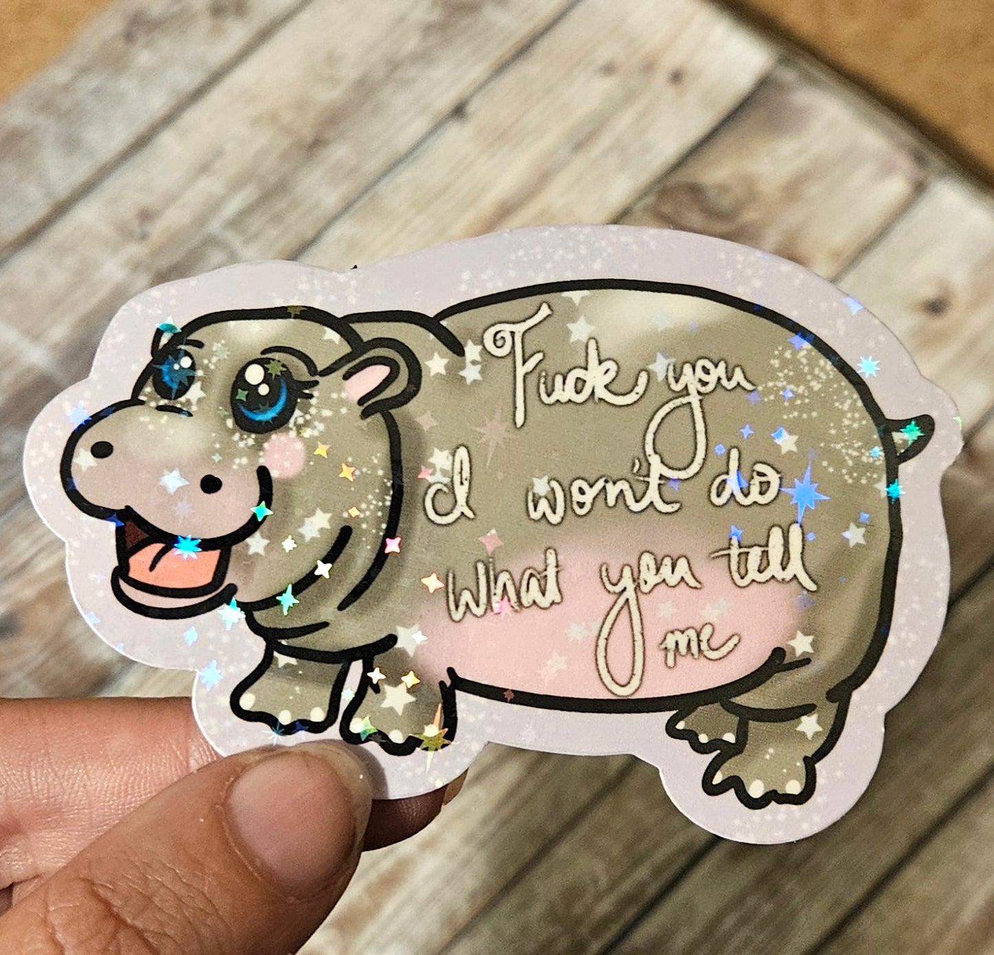Naughty sweary baby hippo sticker !!cusswords included!!