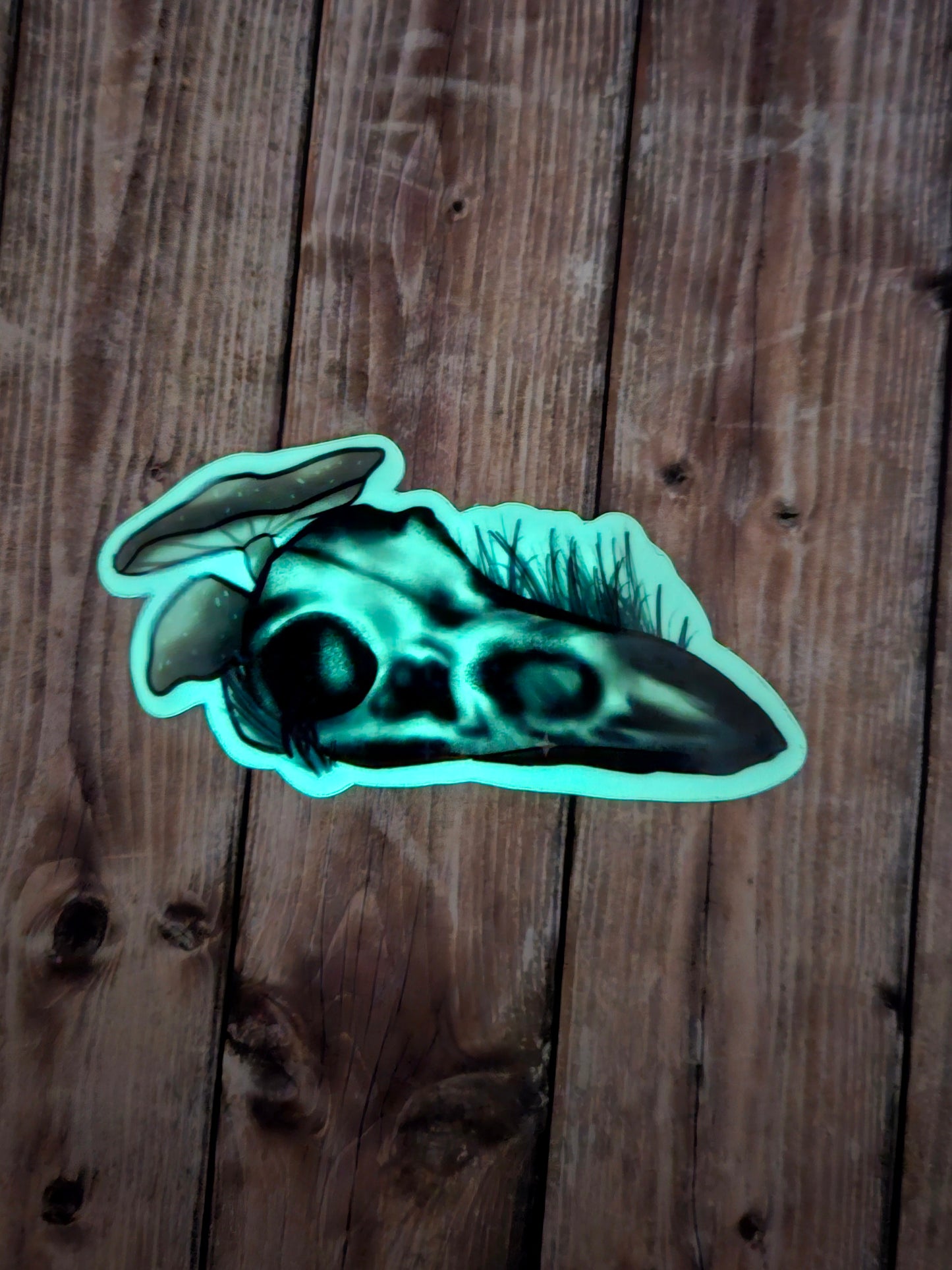 Glow in the dark raven skull sticker