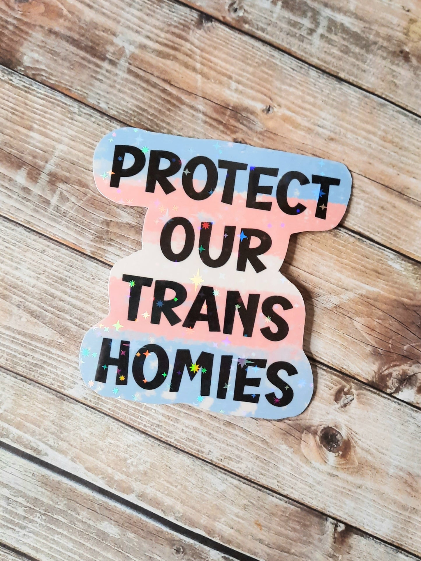Protect our Trans homies sticker
