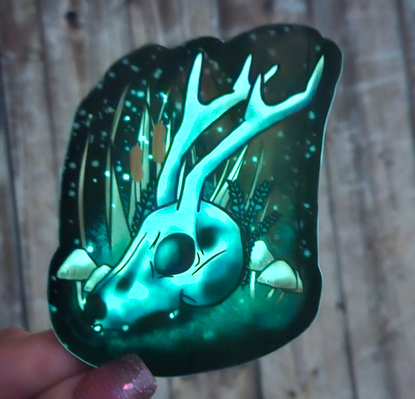Glow in the dark jackalope skull