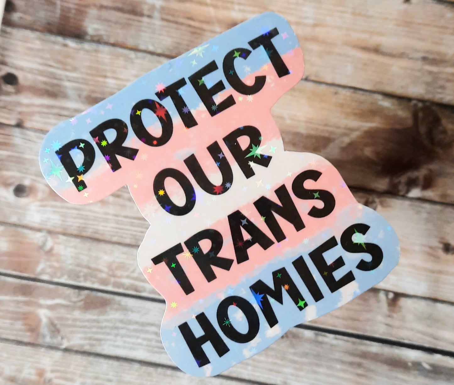 Protect our Trans homies sticker