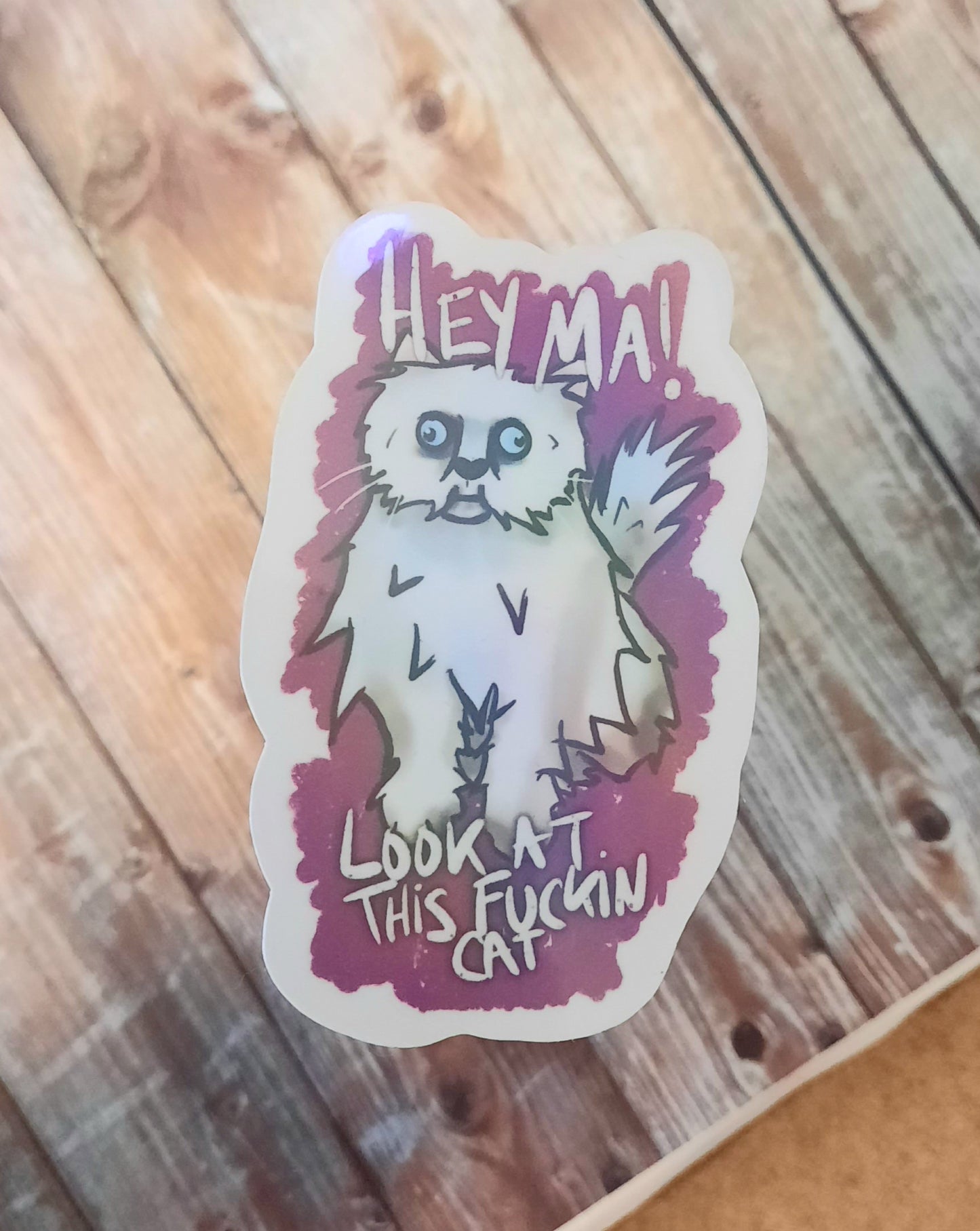 Hey ma, crazy looking cat sticker, meme cat sticker