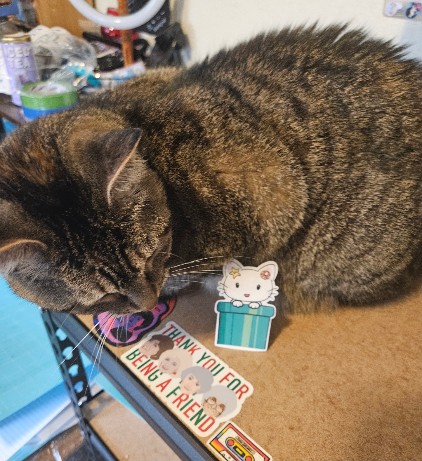 Kitty in a video game tube sticker for water bottle