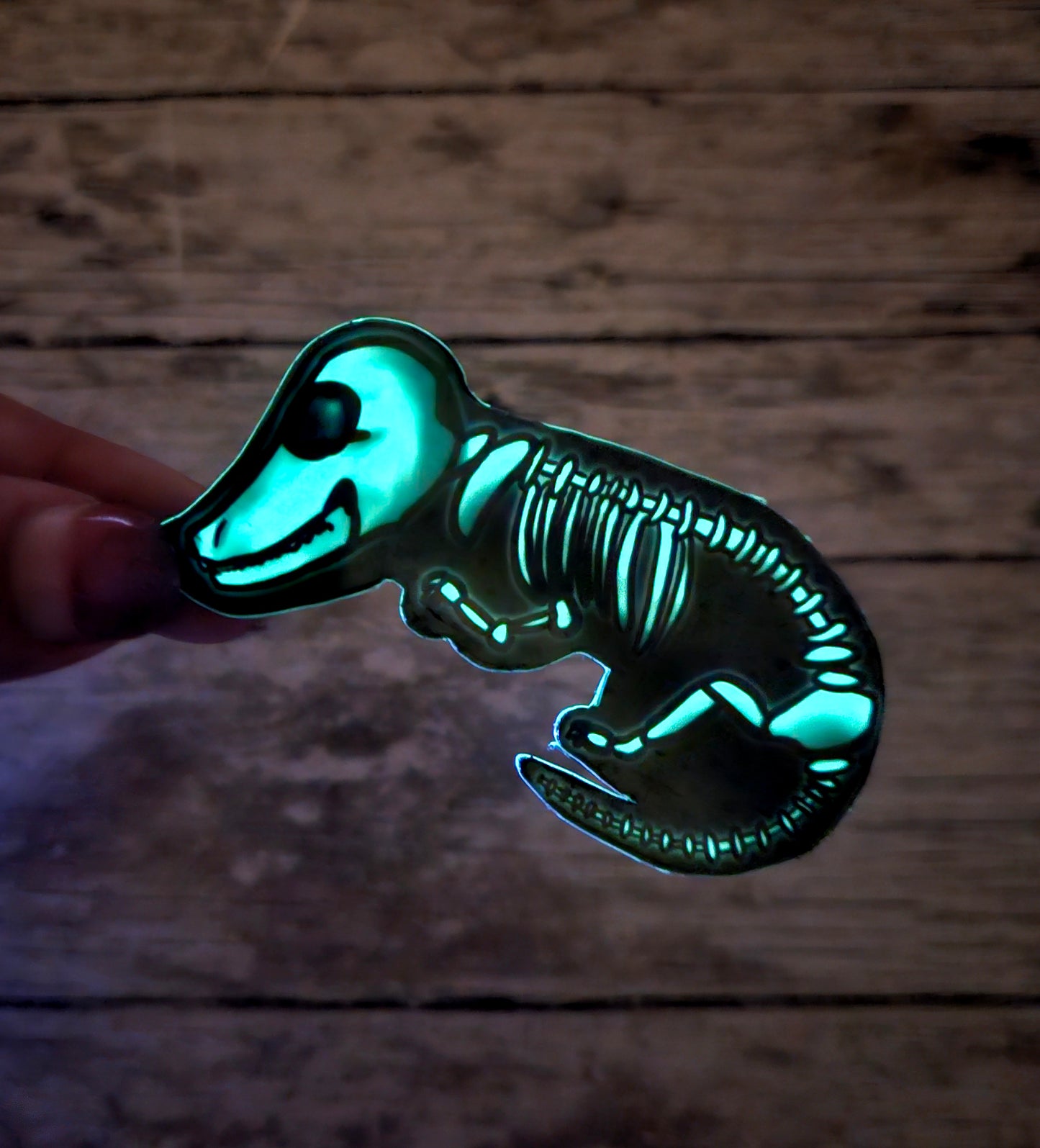 Glow in the dark dachsund skeleton sticker