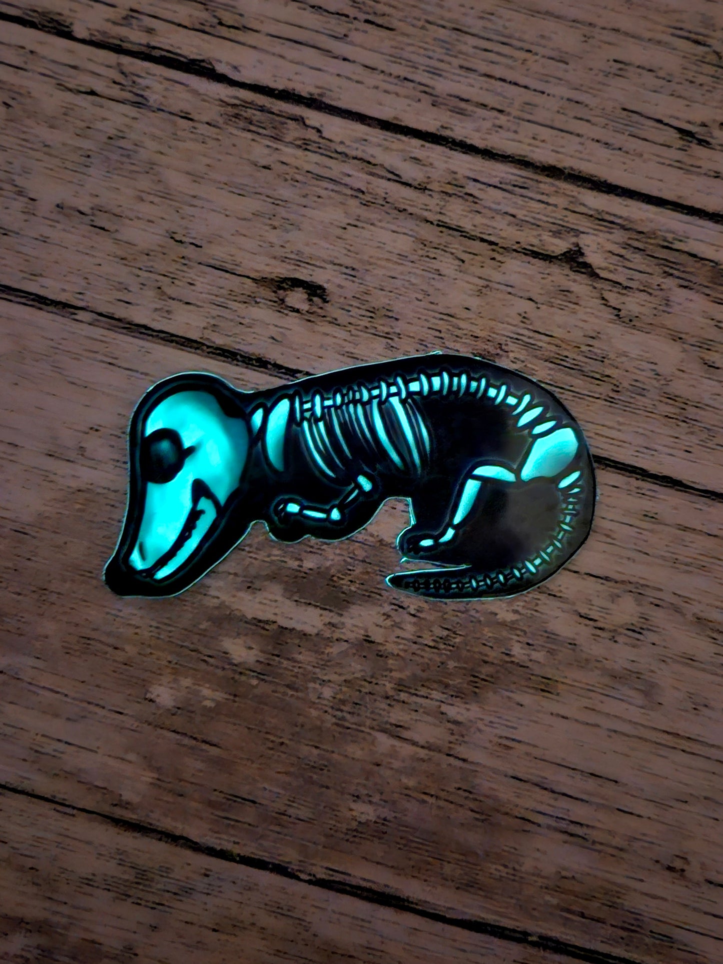 Glow in the dark dachsund skeleton sticker