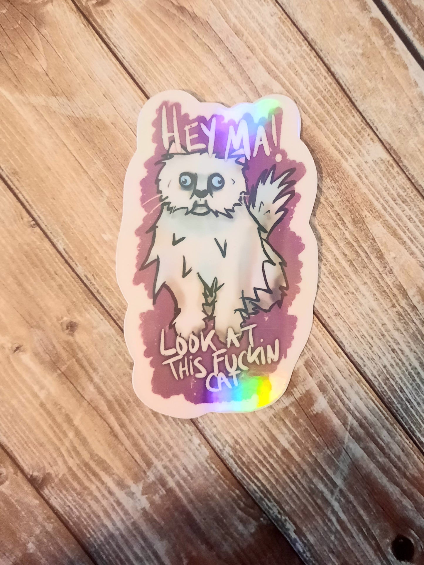Hey ma, crazy looking cat sticker, meme cat sticker