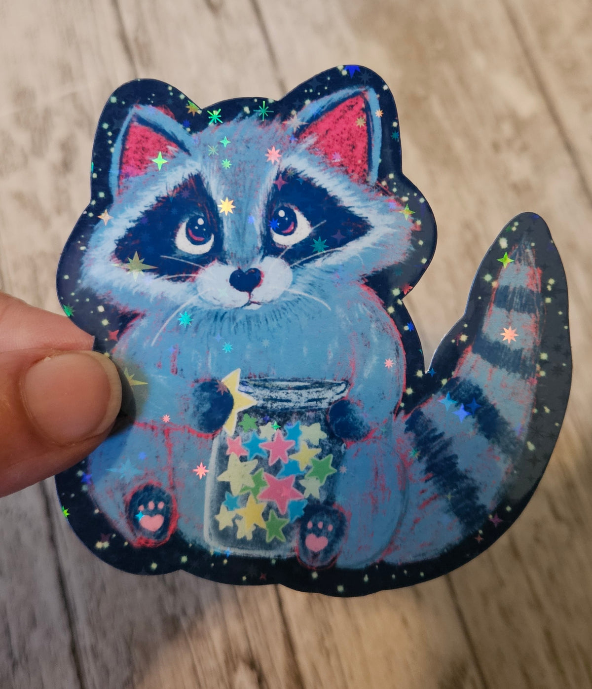 Starry Racoon sticker