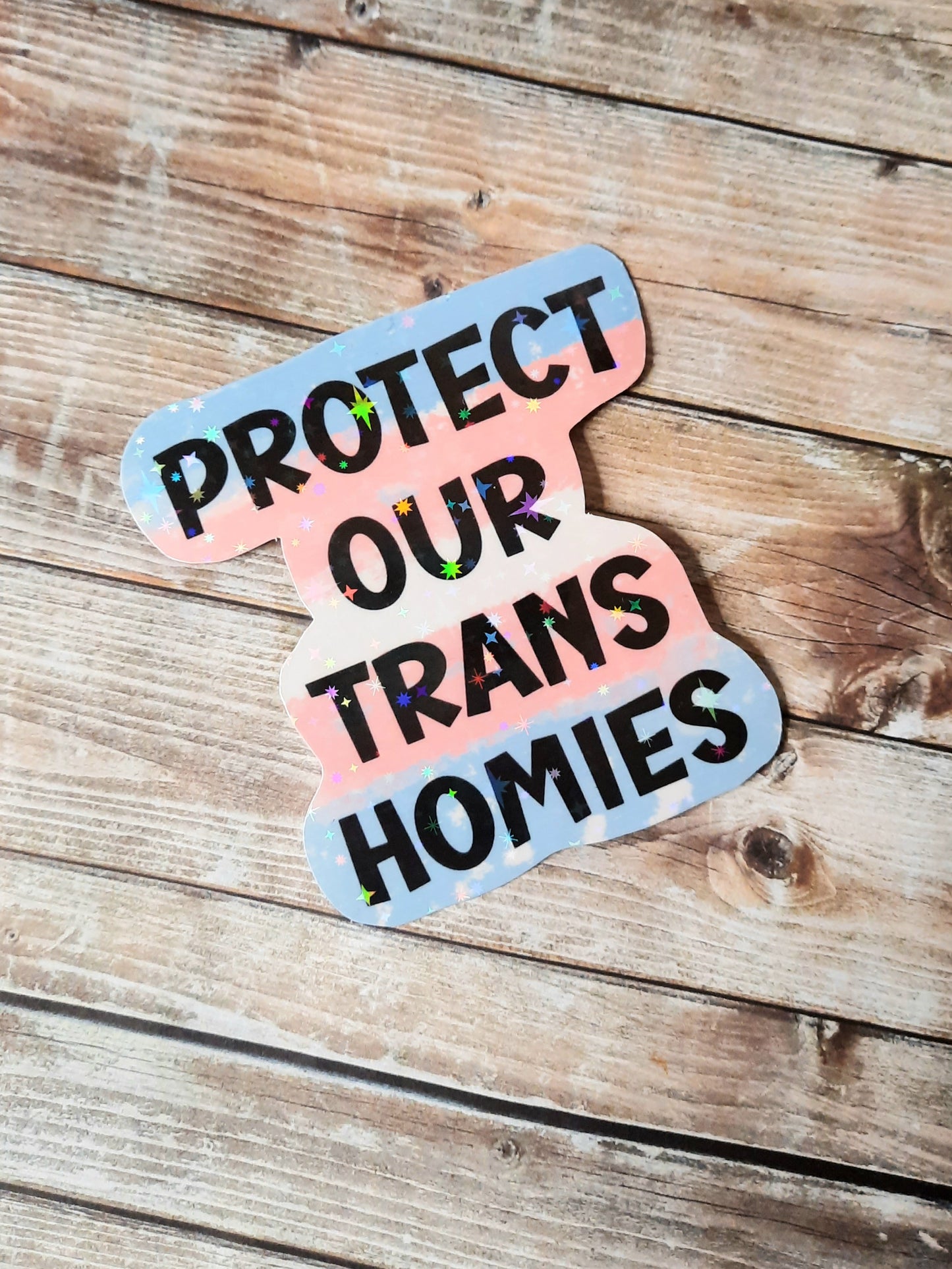 Protect our Trans homies sticker