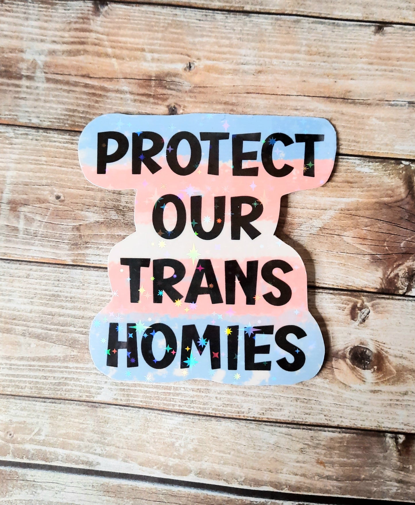 Protect our Trans homies sticker