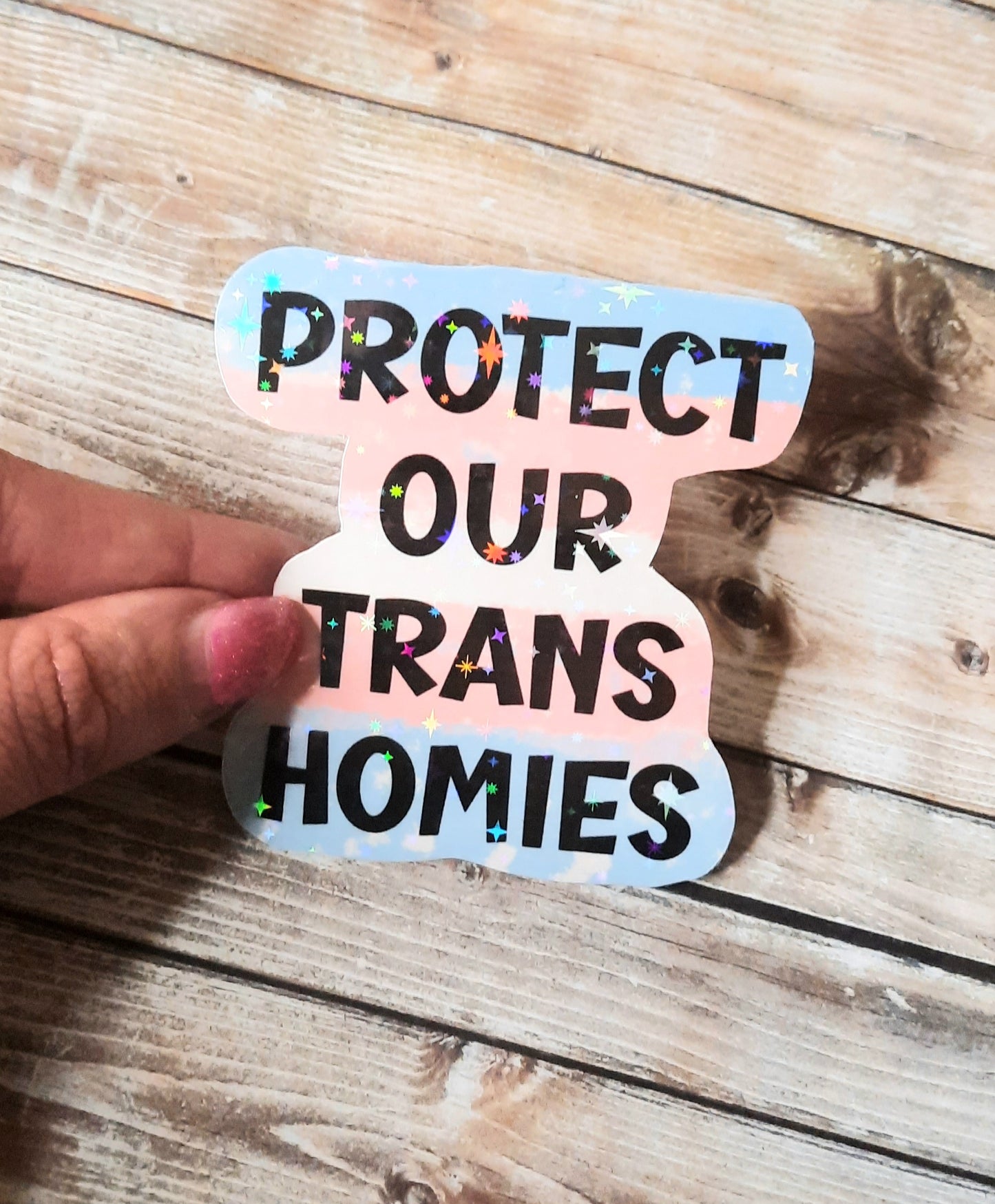 Protect our Trans homies sticker