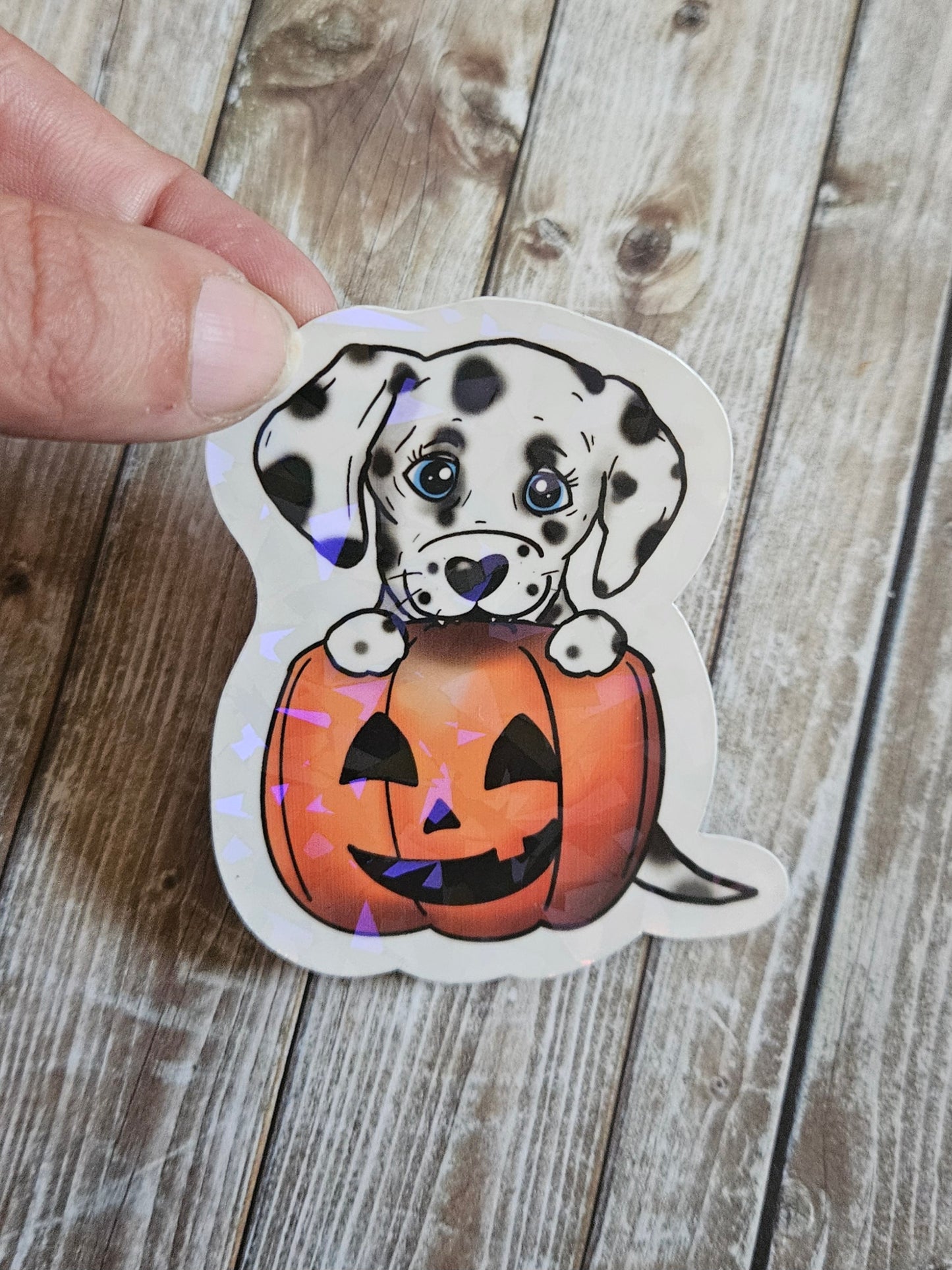 Dalmatian puppy in a pumpkin sticker for water bottle