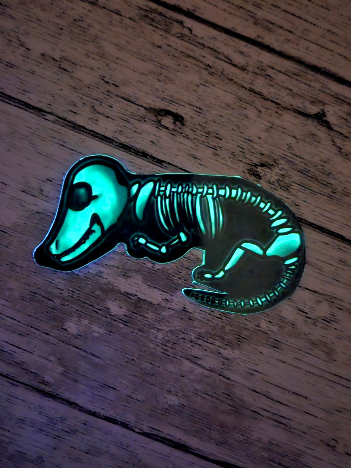Glow in the dark dachsund skeleton sticker