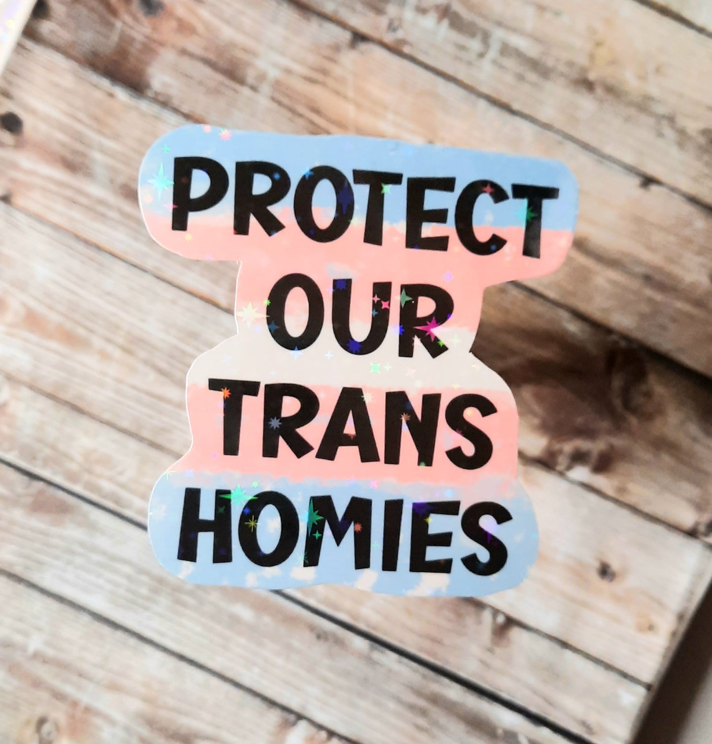Protect our Trans homies sticker