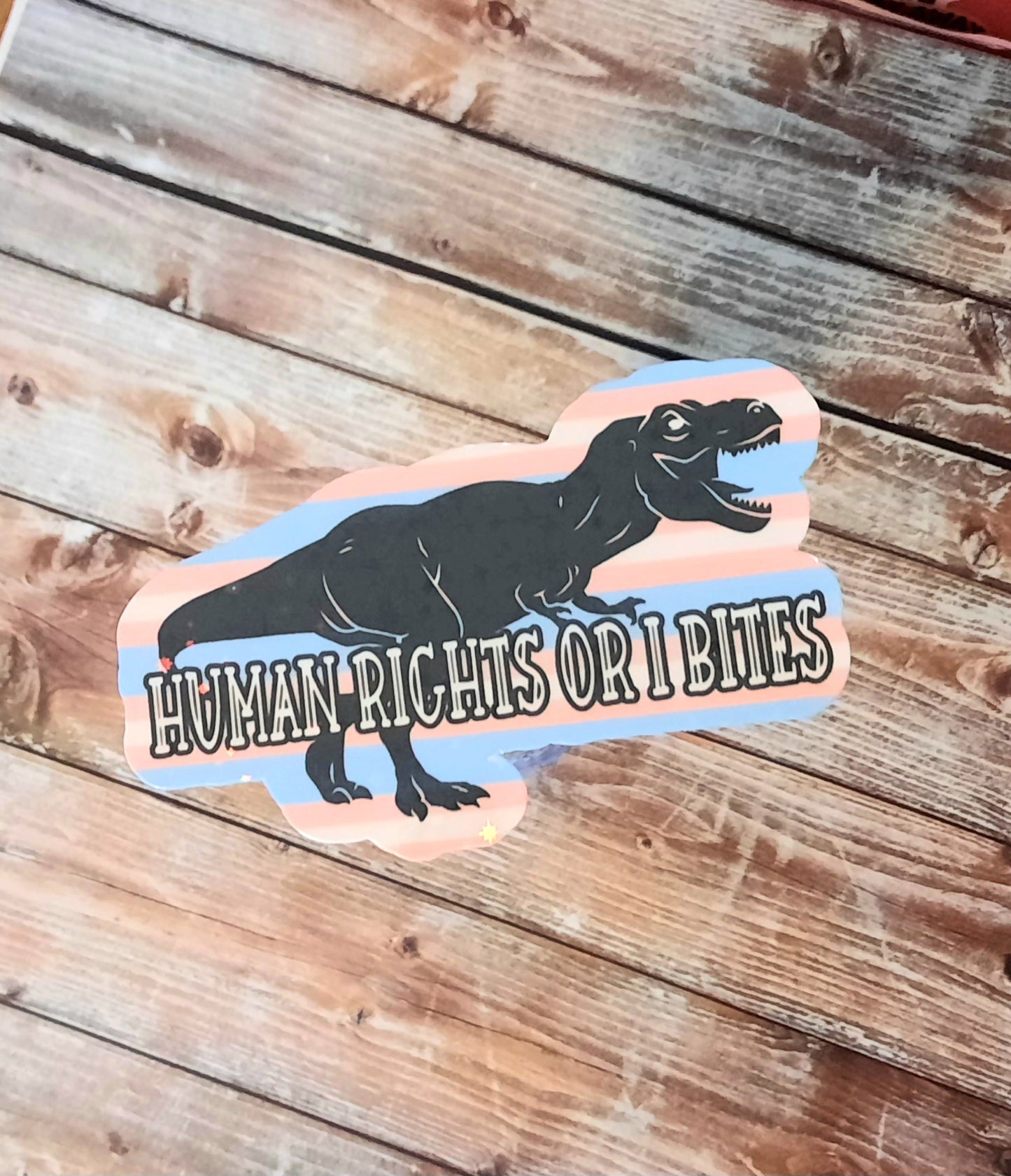 Human rights or I bites sticker for water bottle, T-rex sticker for laptop, dinosaur sticker