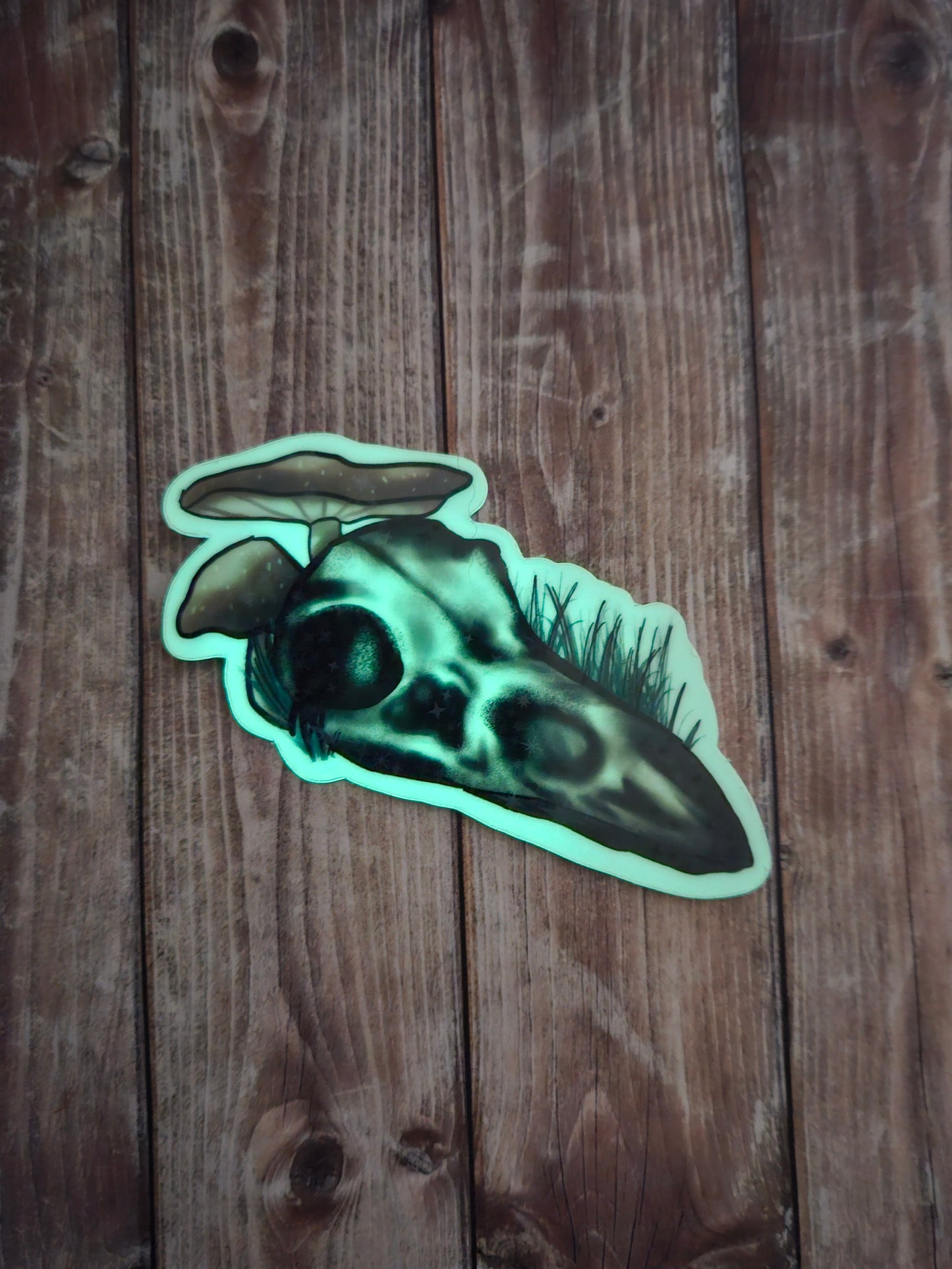 Glow in the dark raven skull sticker