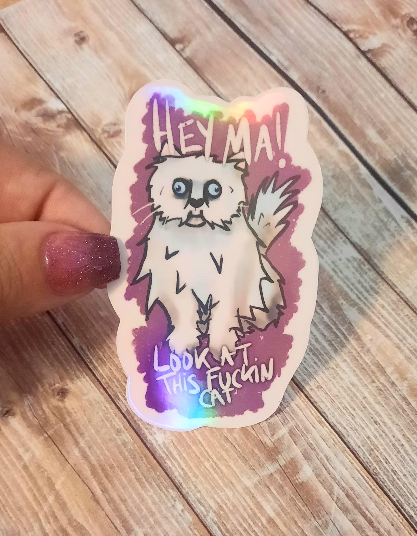 Hey ma, crazy looking cat sticker, meme cat sticker