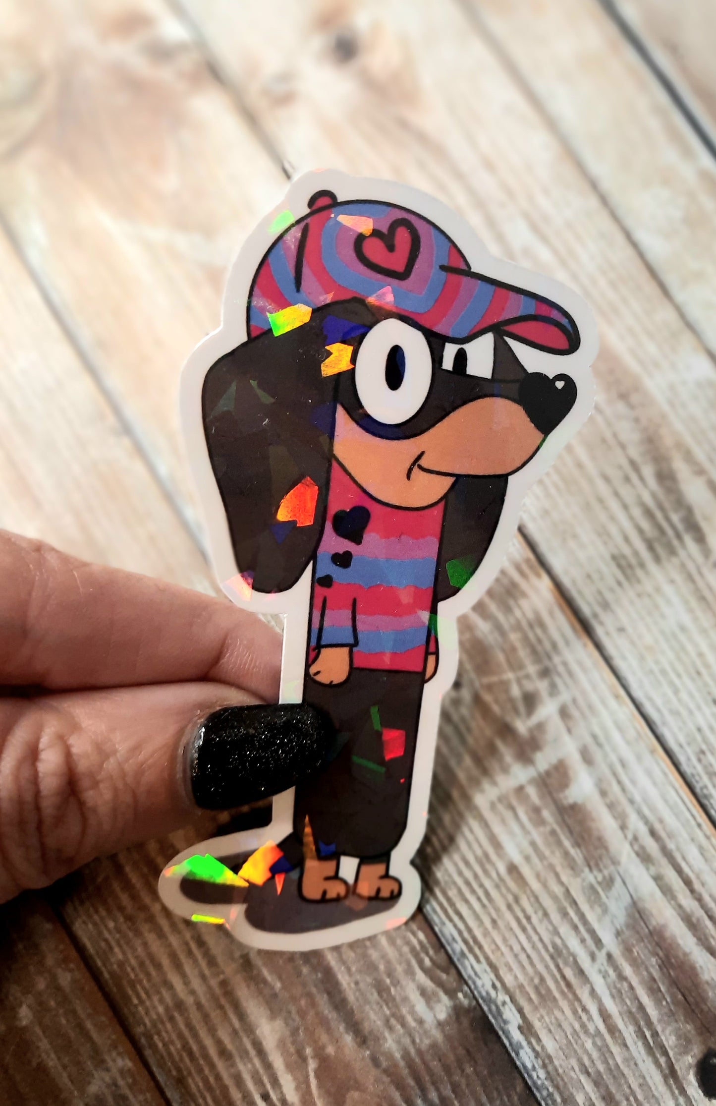 Bi colors doxie sticker