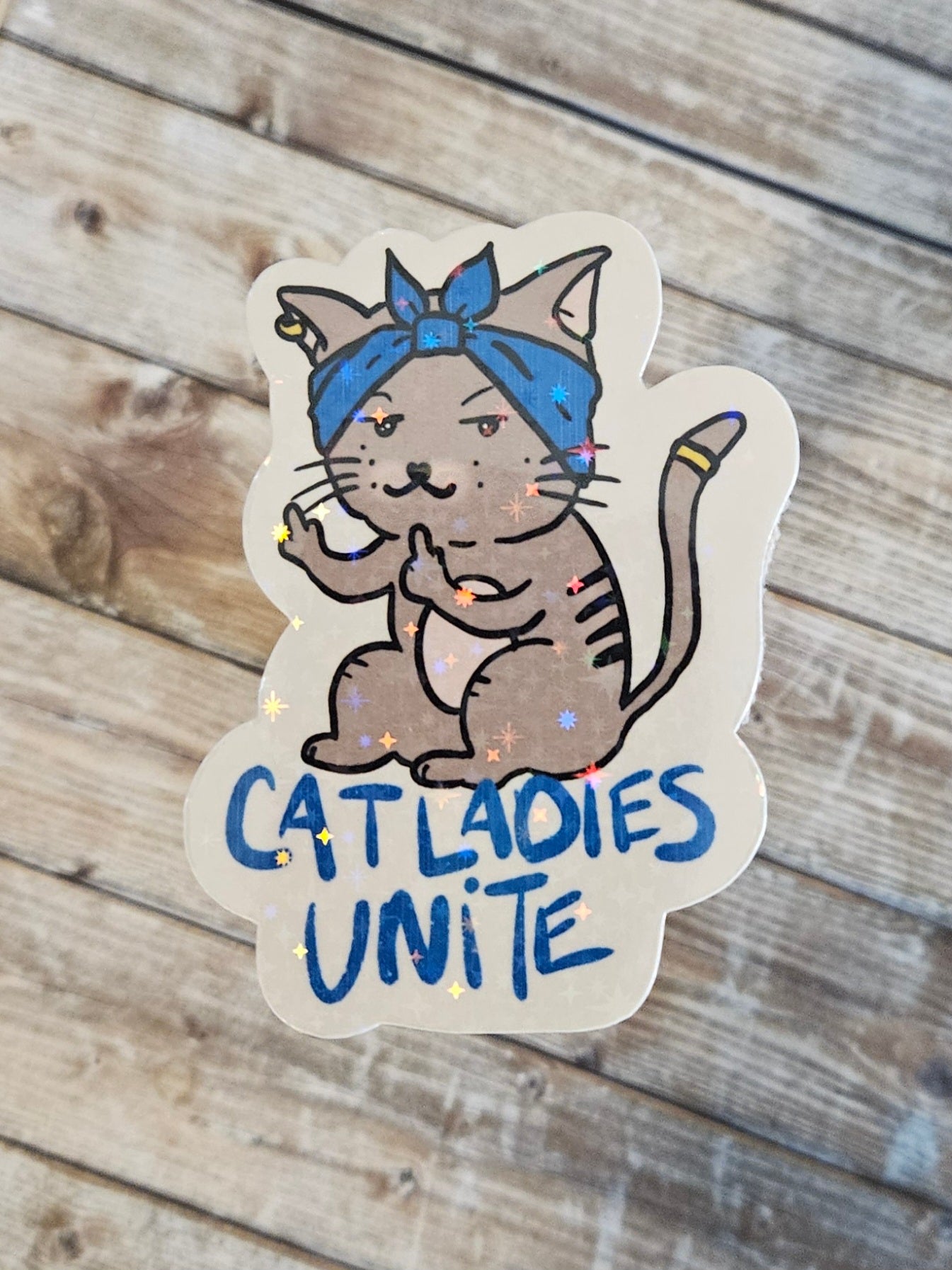 Cat ladies unite sticker