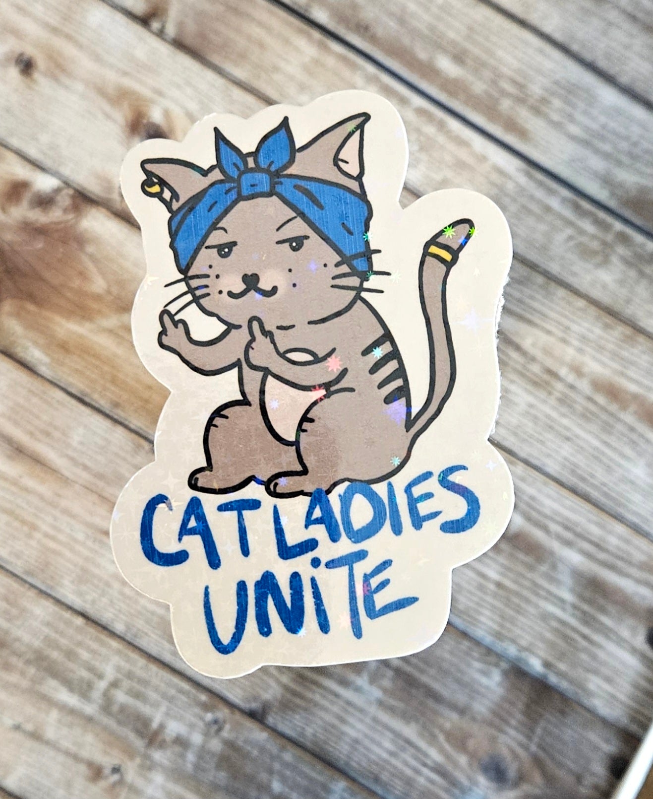 Cat ladies unite sticker