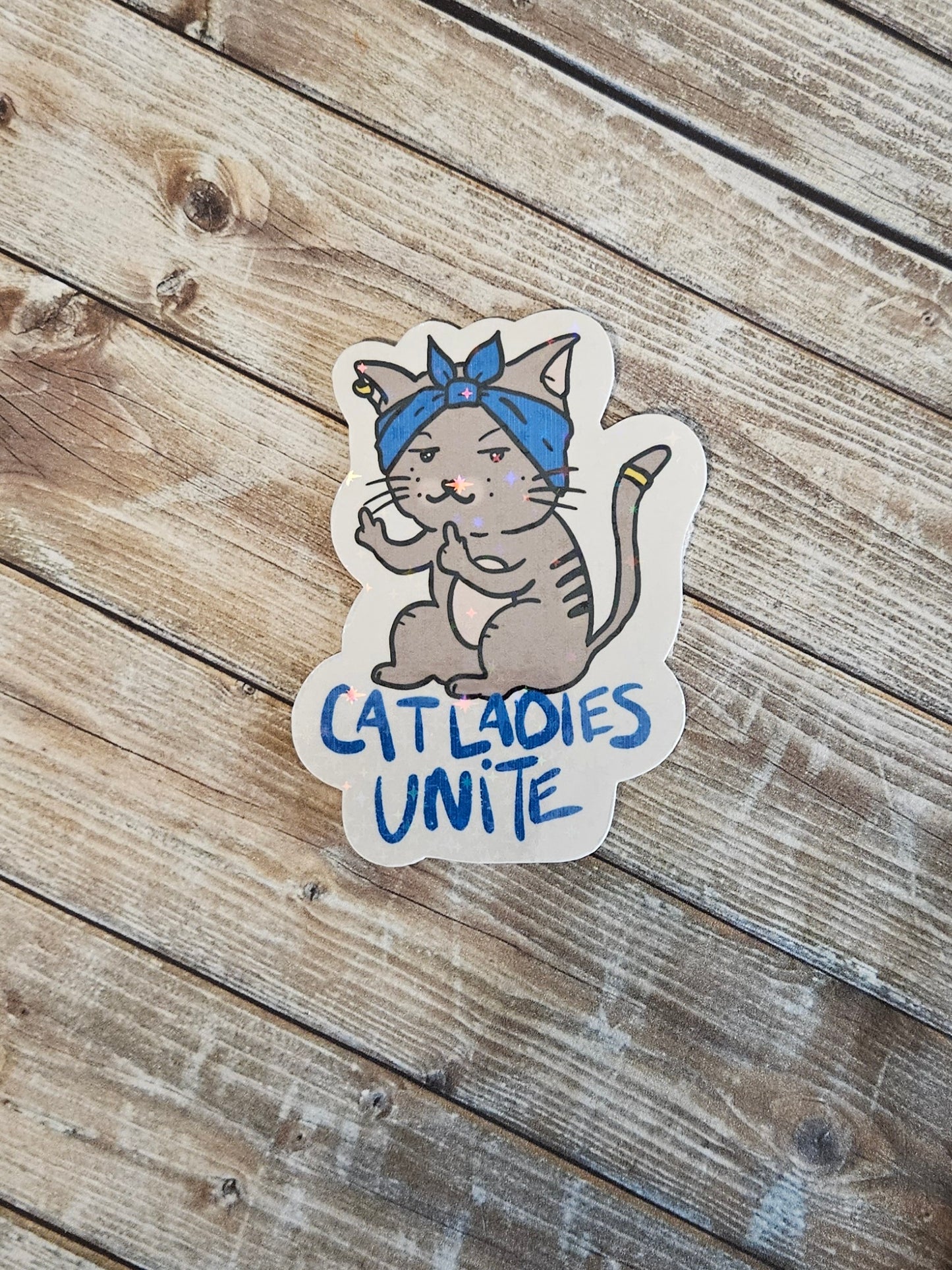 Cat ladies unite sticker