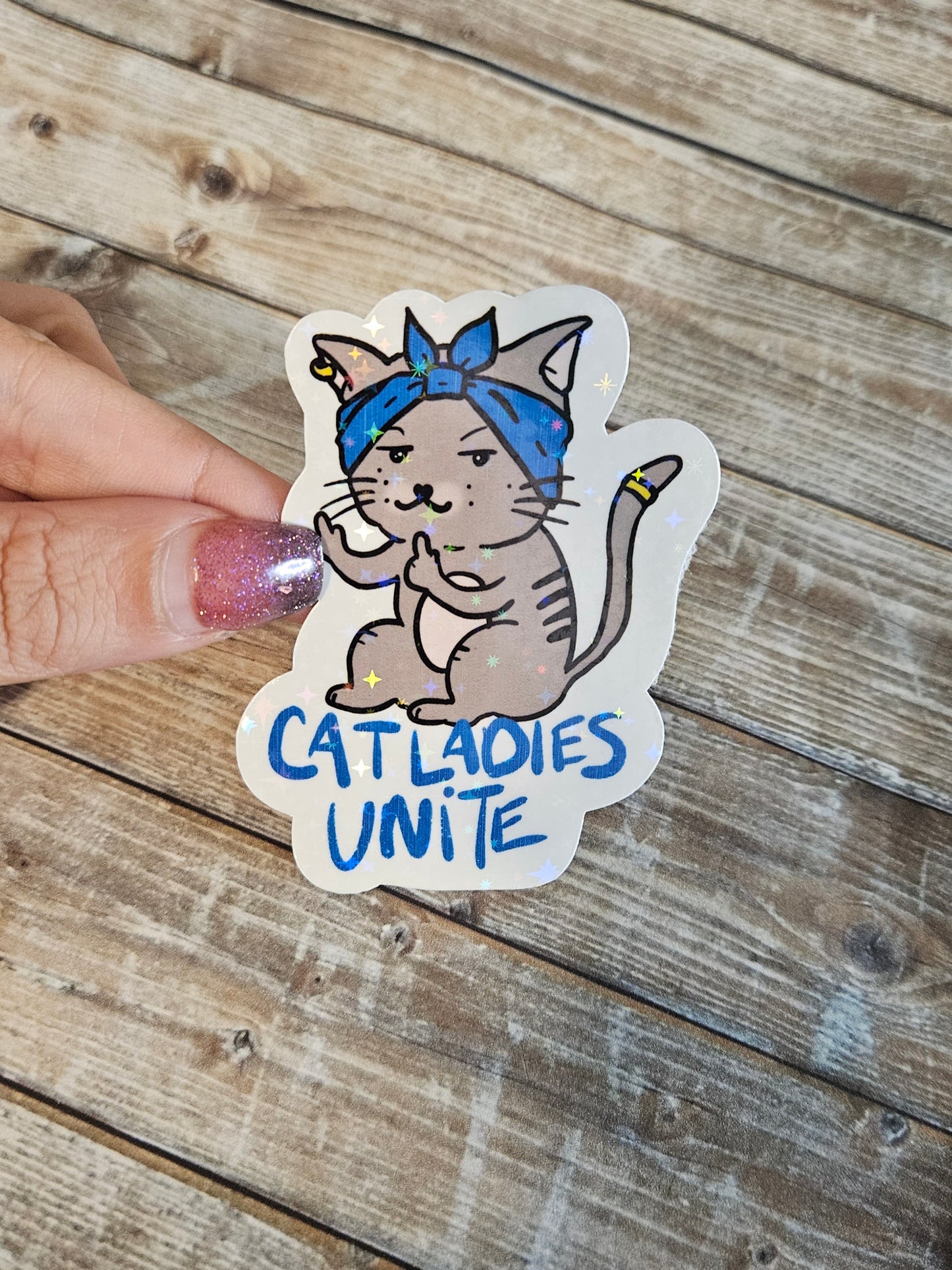 Cat ladies unite sticker