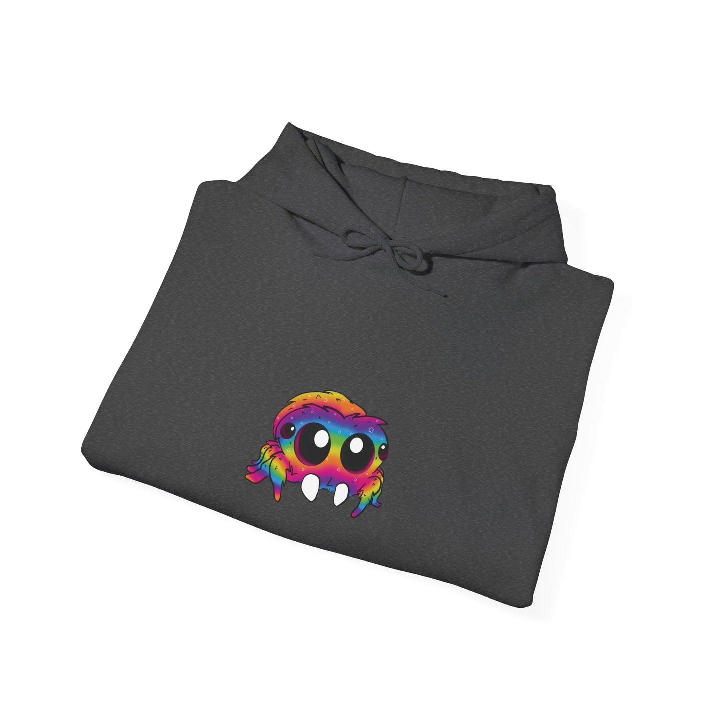 Rainbow Jumping Spider Hoodie