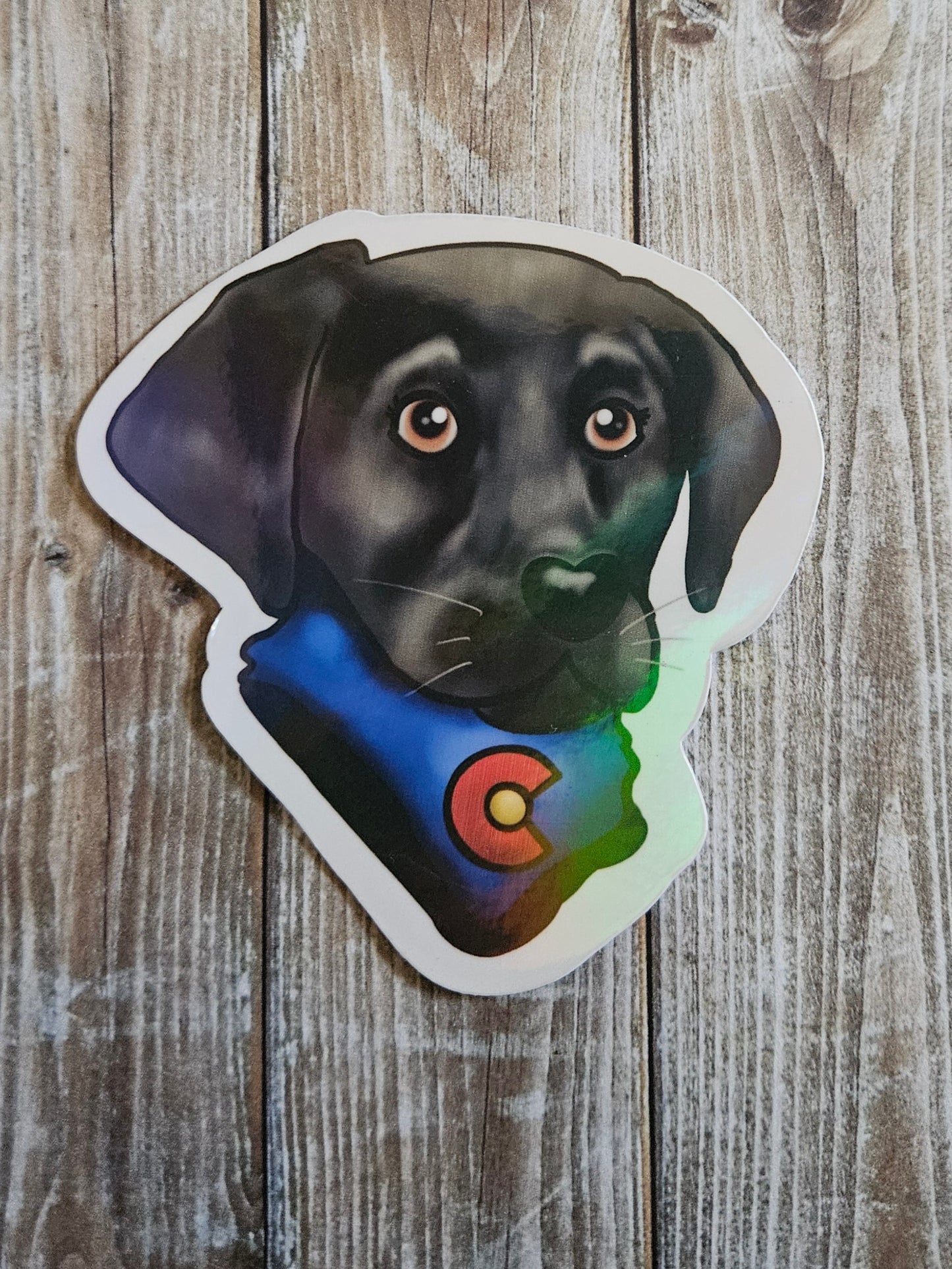Colorado Black lab sticker for water bottle