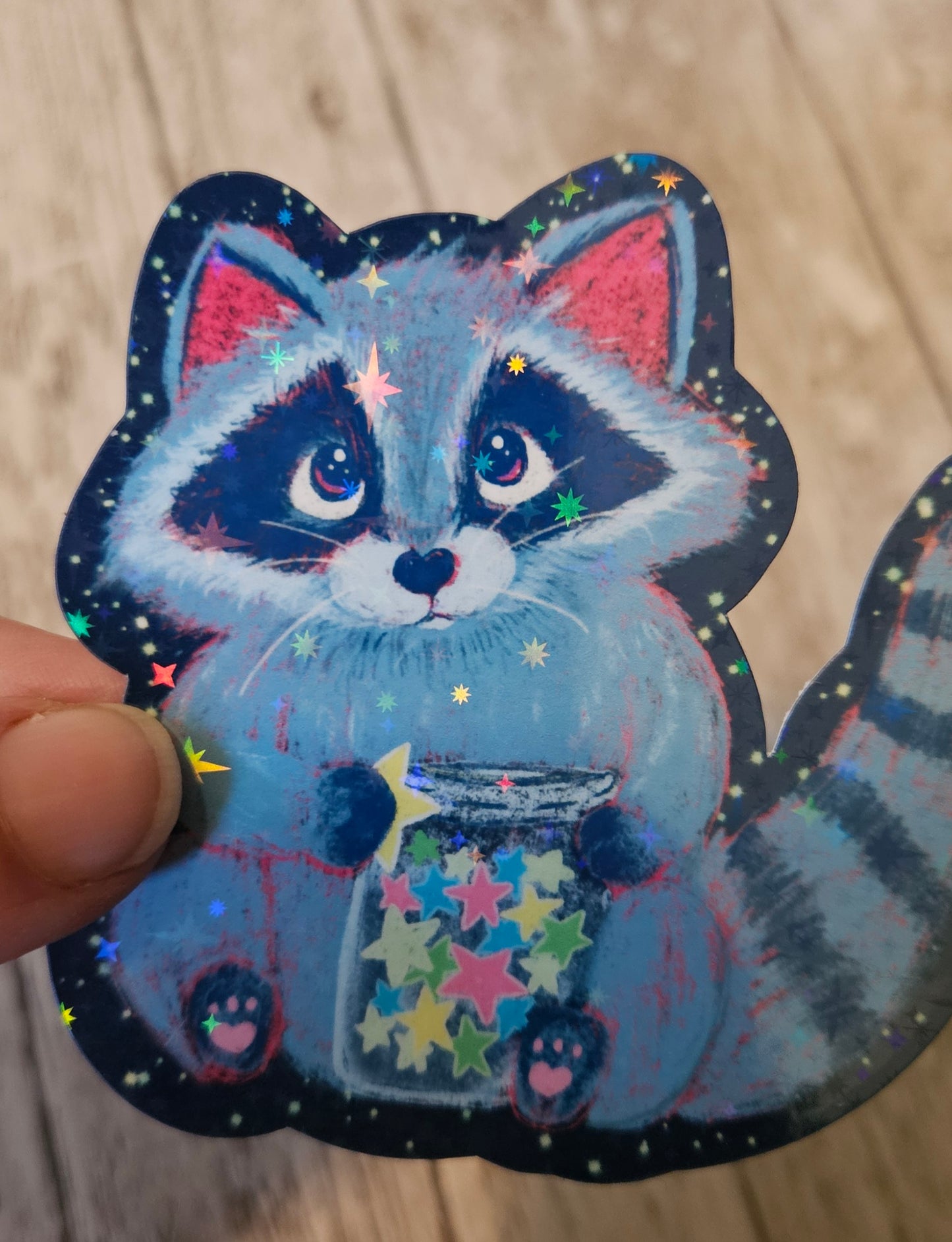 Starry Racoon sticker