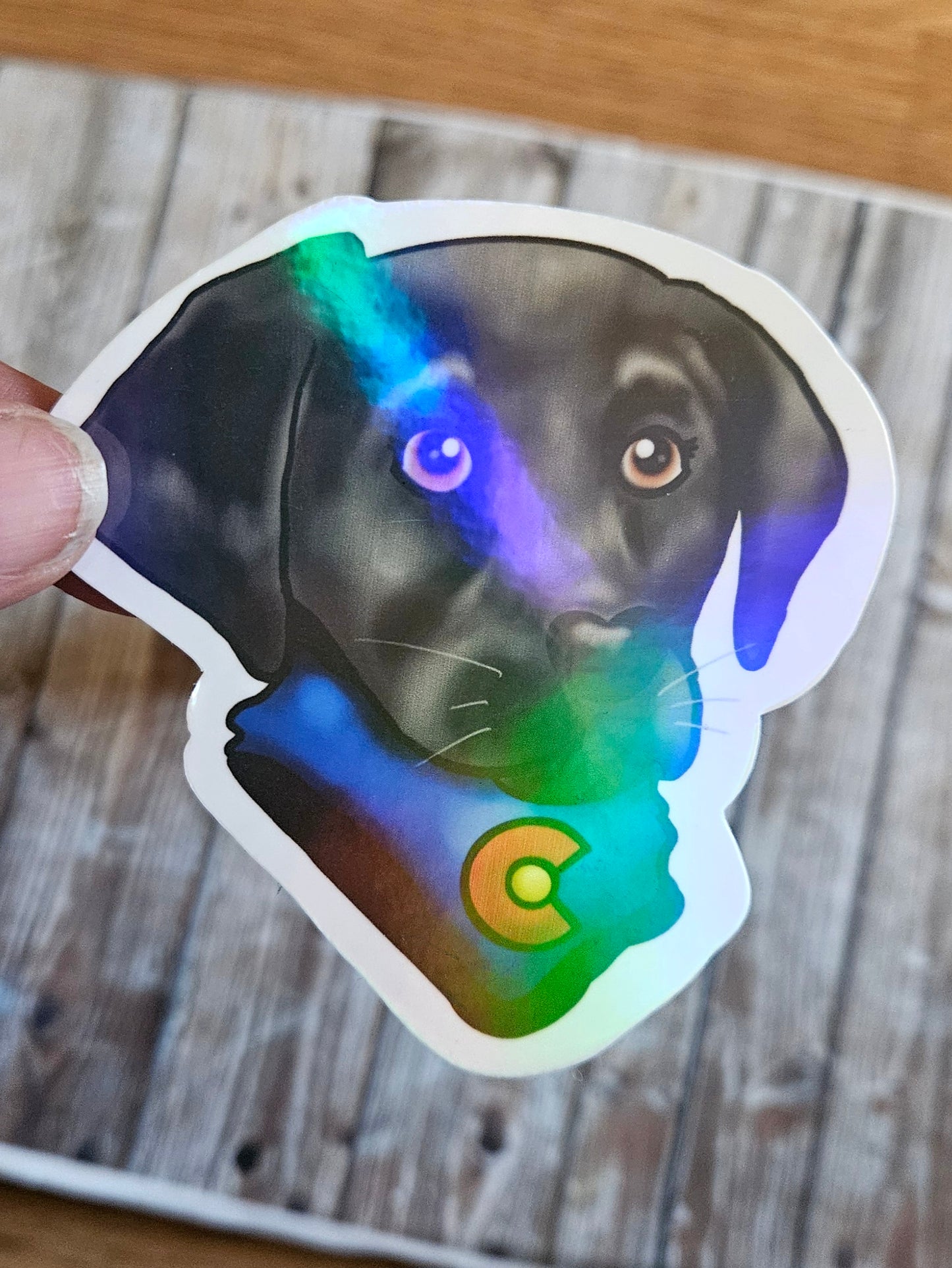 Colorado Black lab sticker for water bottle
