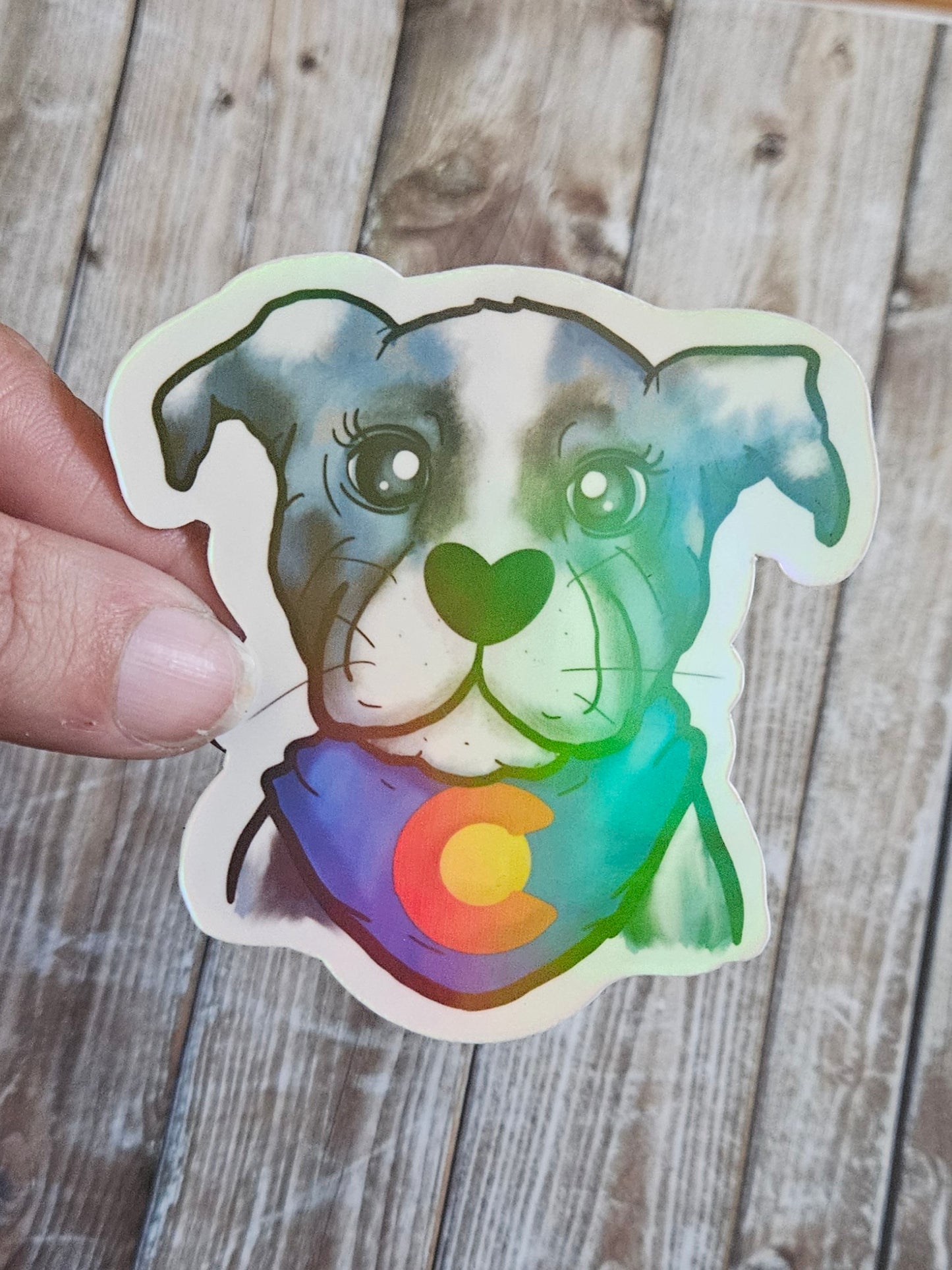 Colorado pitbull with bandana sticker for water bottle, gray and white staffy sticker for laptop