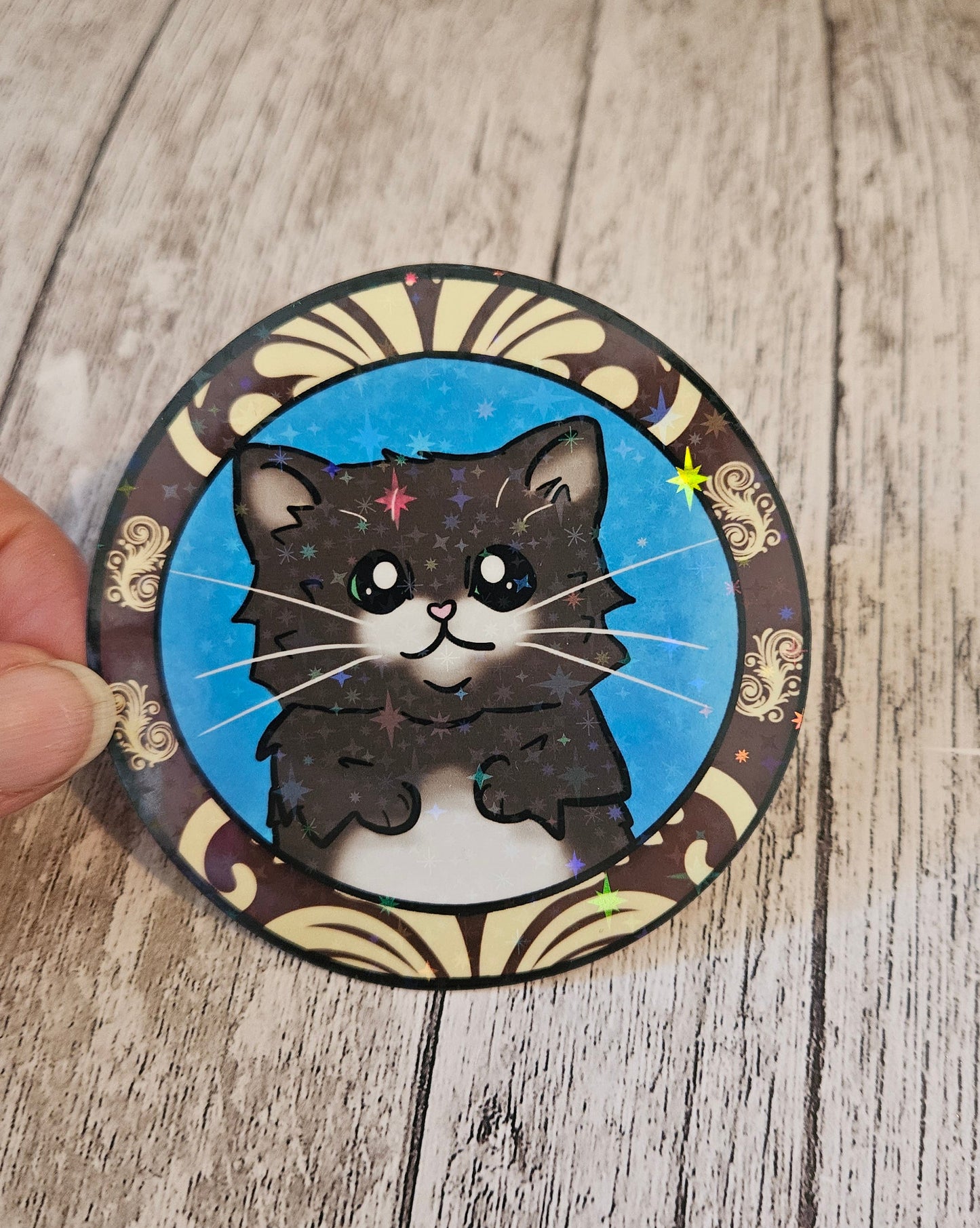 Black kitten in a frame