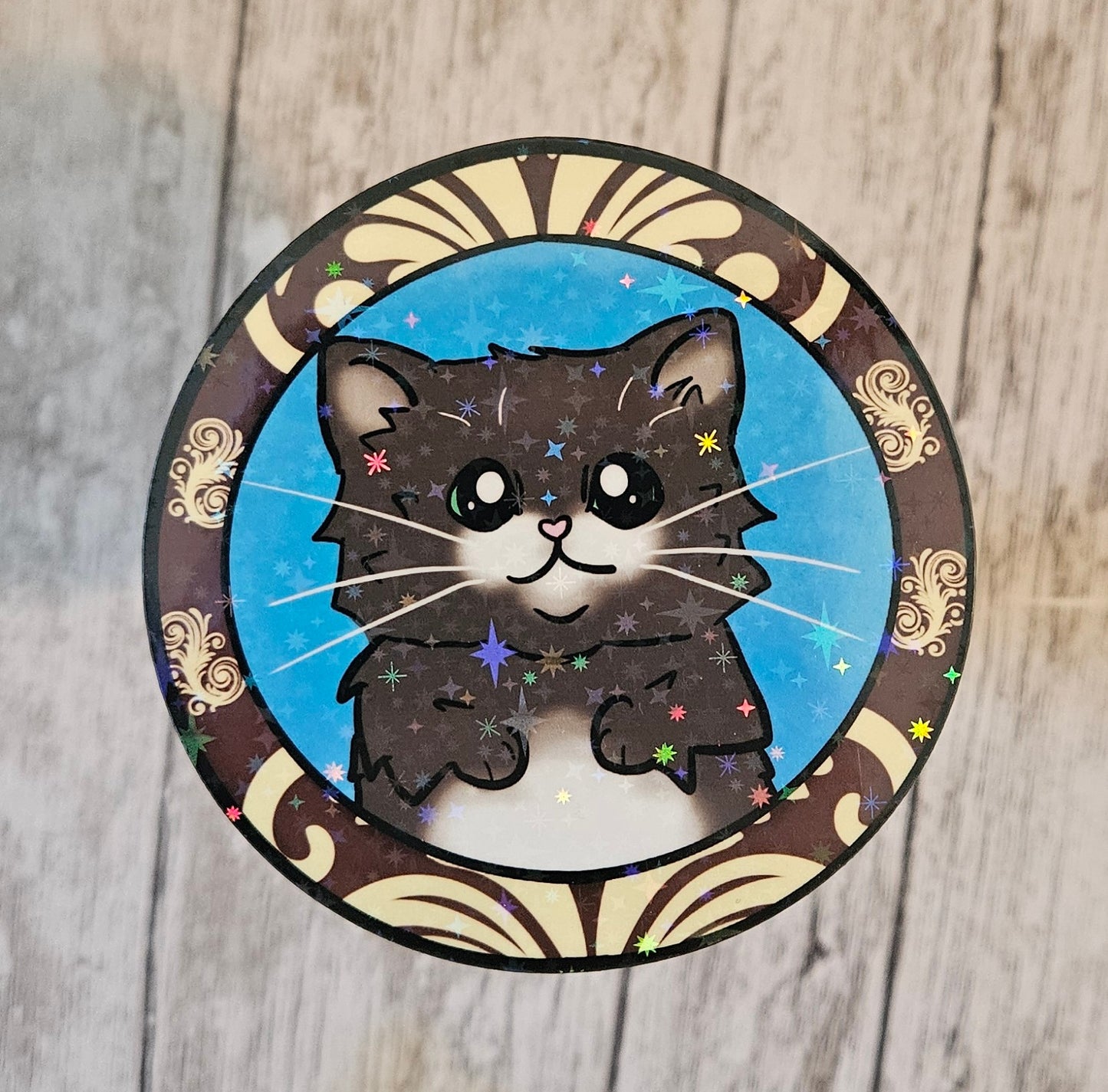 Black kitten in a frame