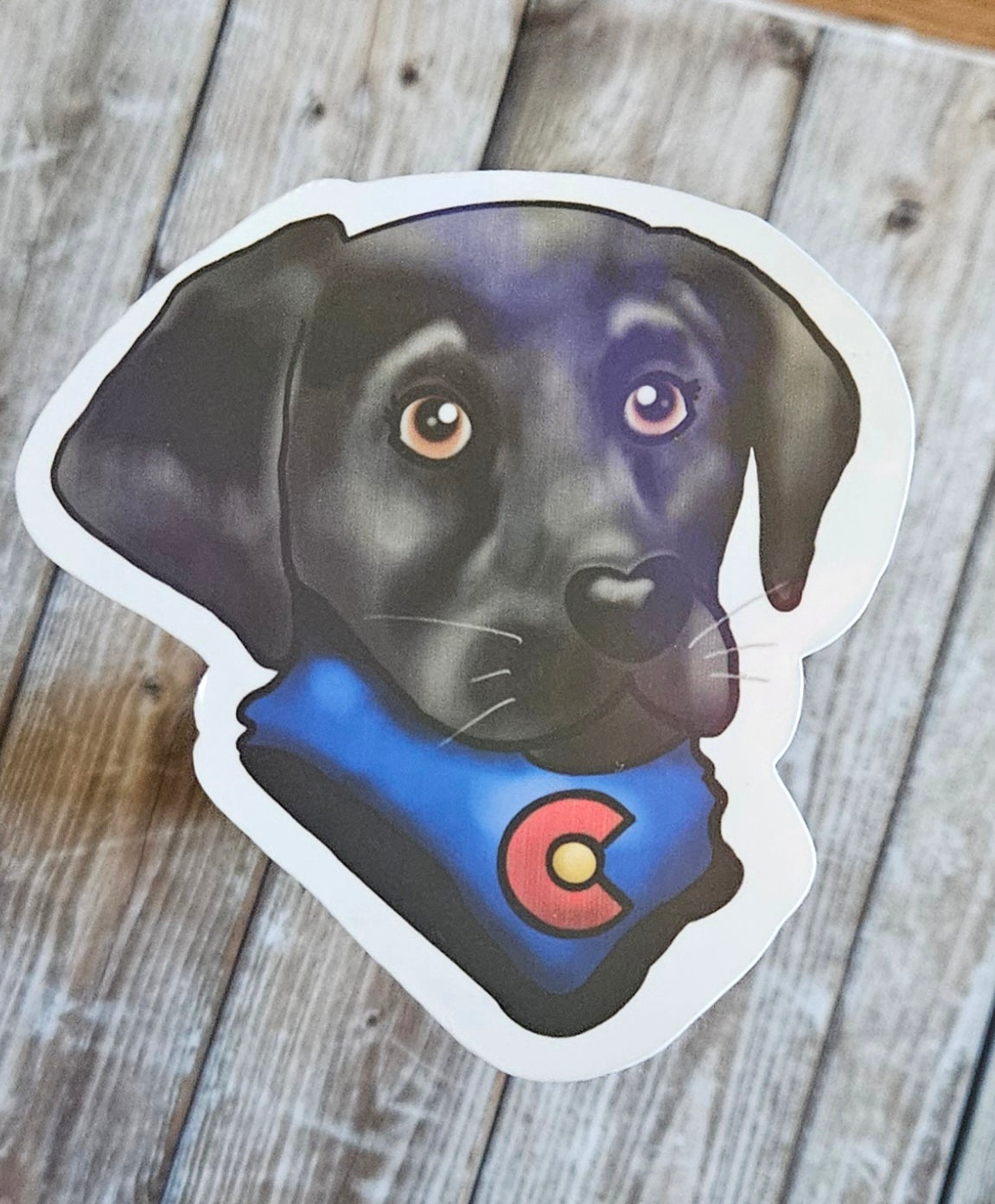 Colorado Black lab sticker for water bottle