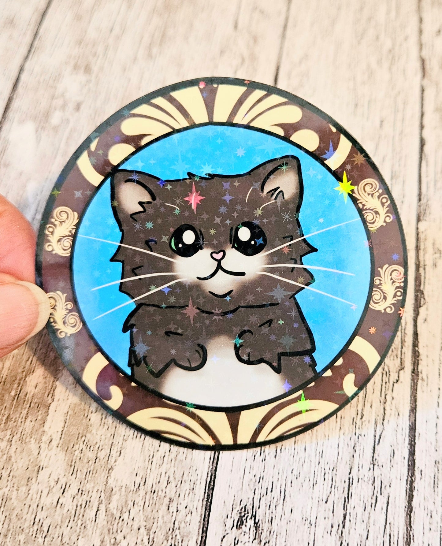 Black kitten in a frame
