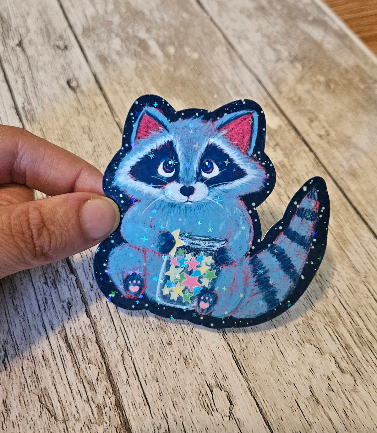 Starry Racoon sticker