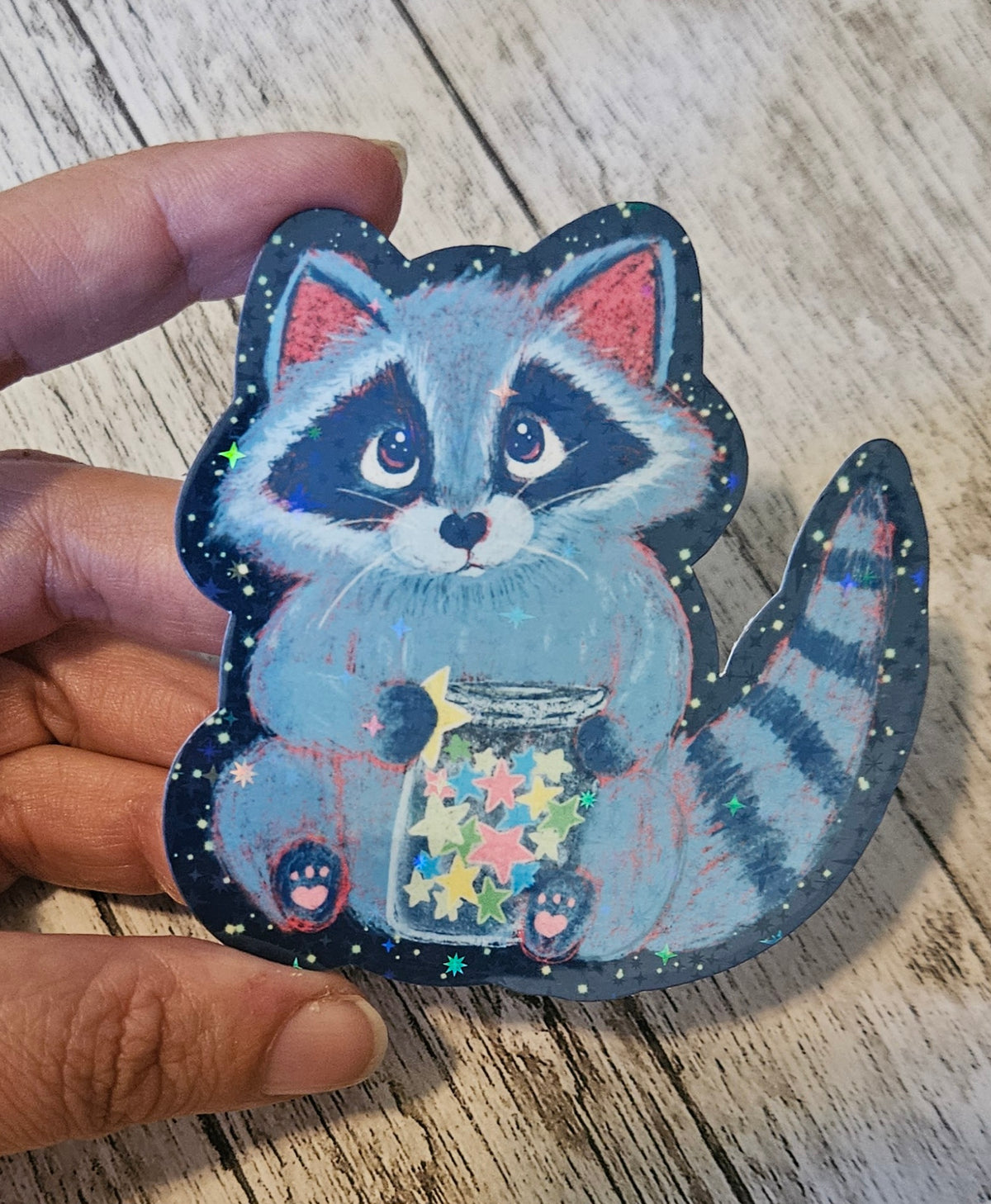 Starry Racoon sticker