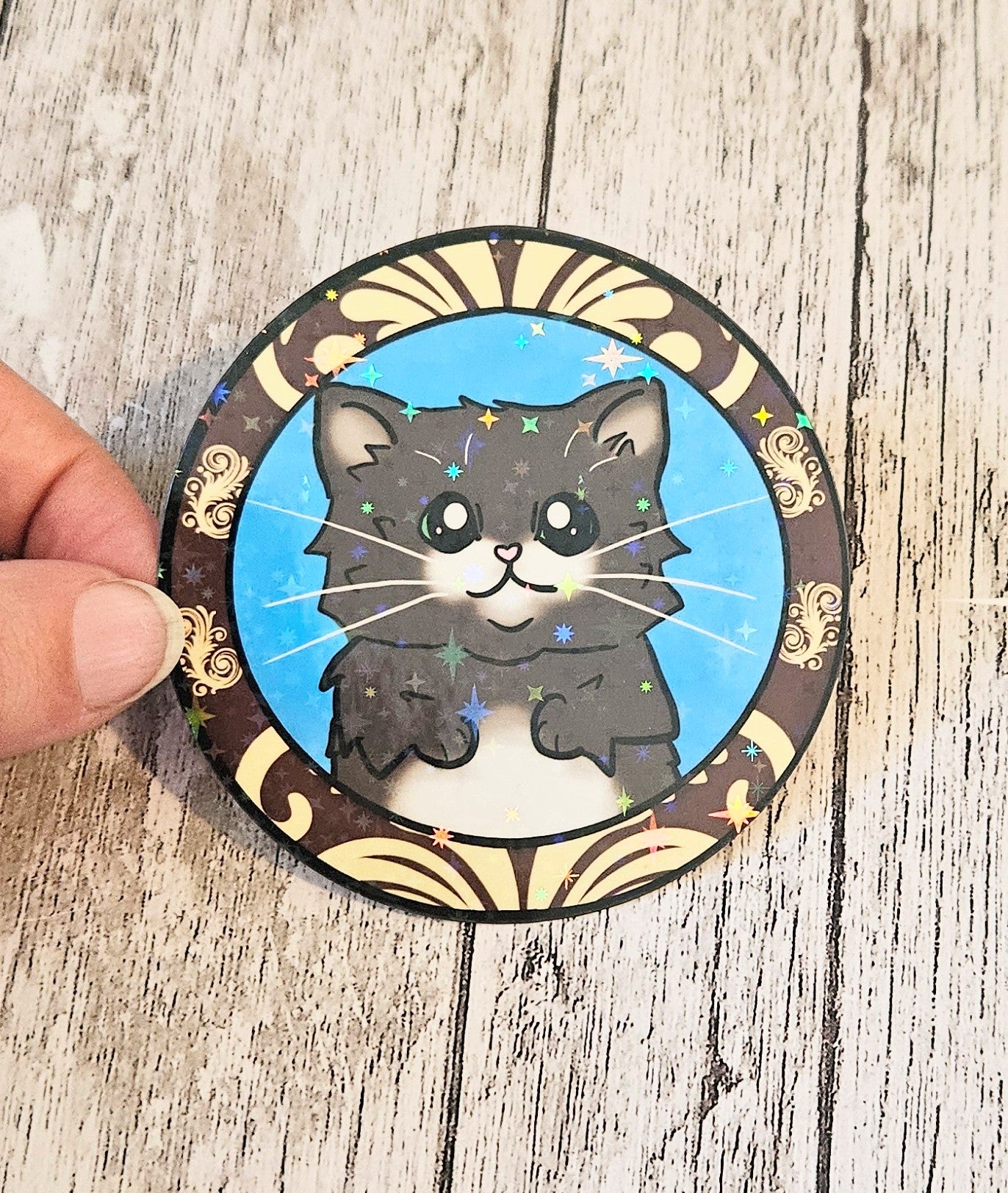Black kitten in a frame