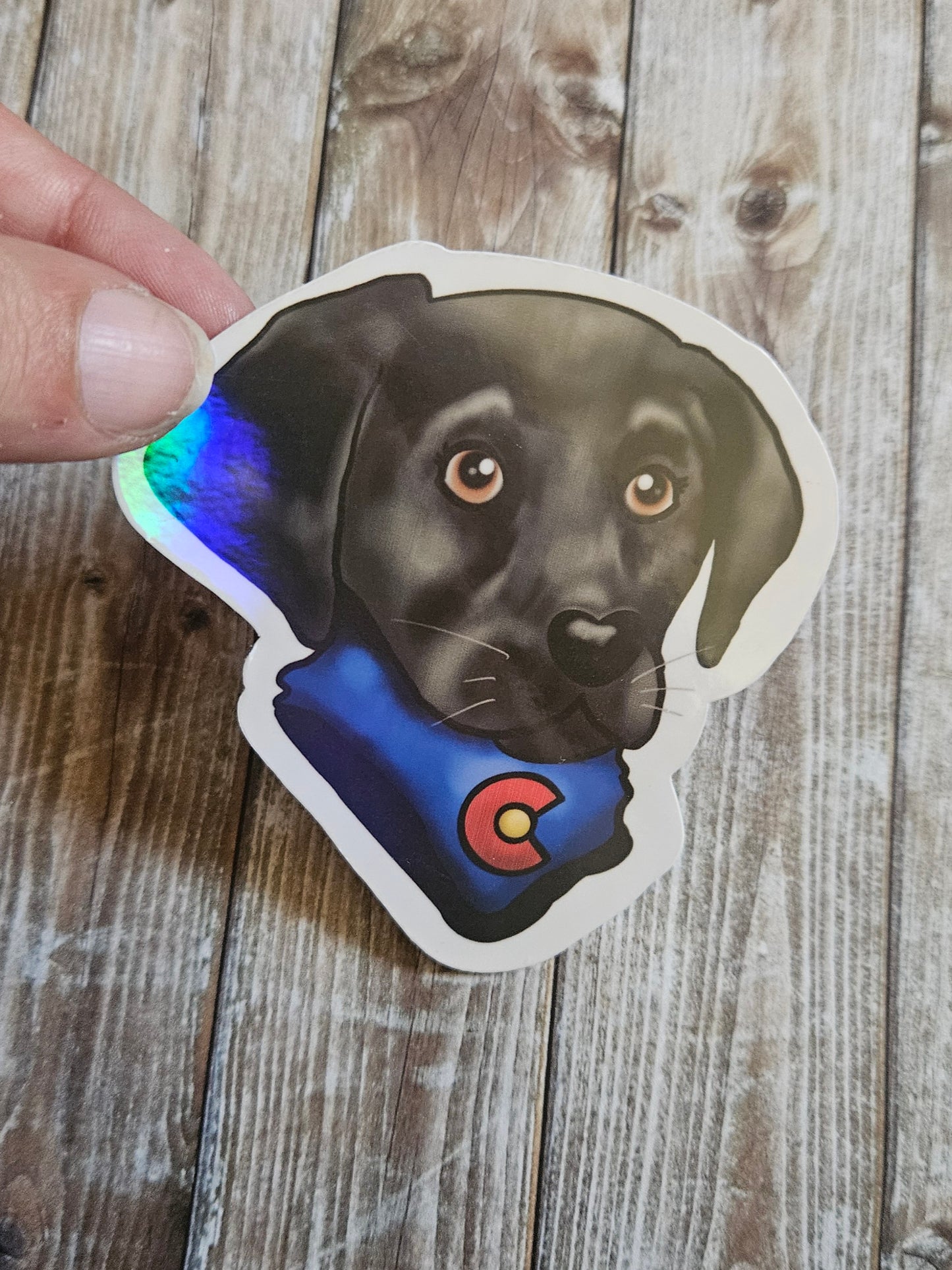 Colorado Black lab sticker for water bottle